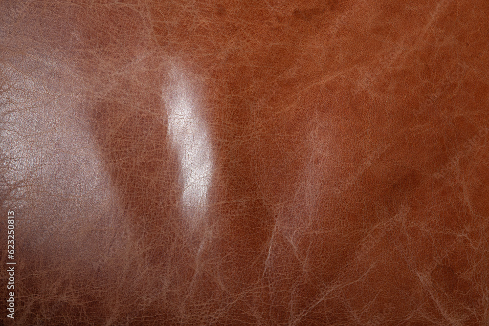 Fototapeta premium large texture leather, background free space