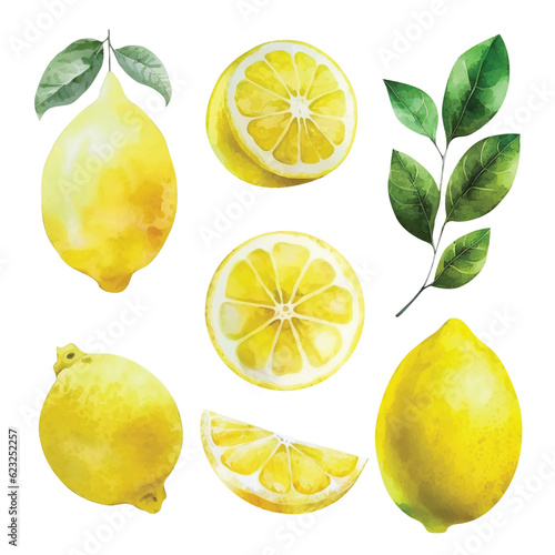 Set of lemon watercolor paint ilustration