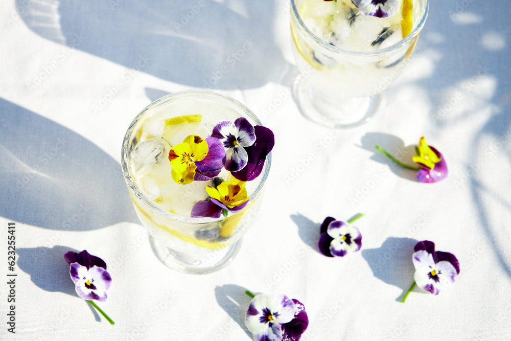 Top view of a refreshing cocktail with citrus fruits and edible flowers in the rays of the bright sun. Summer refreshing drinks. Top view of a refreshing cocktail with citrus fruits and edible flowers in the rays of the bright sun. Summer refreshing drinks.