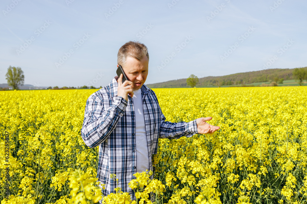 A male farmer agronomist stands in a field of flowering rapeseed and talks on the phone. Checking the quality of the harvest. harvesting. A male farmer agronomist stands in a field of flowering rapeseed and talks on the phone. Checking the quality of the harvest. harvesting.