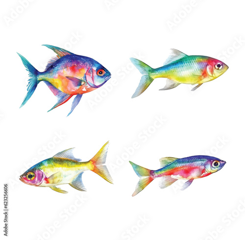  Neon Tetra fish watercolor paint