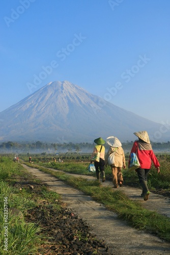 Lumajang local residents with Mount Semeru in the background.  Farmer activities on the slopes of Mount Semeru, East Java, Indonesia