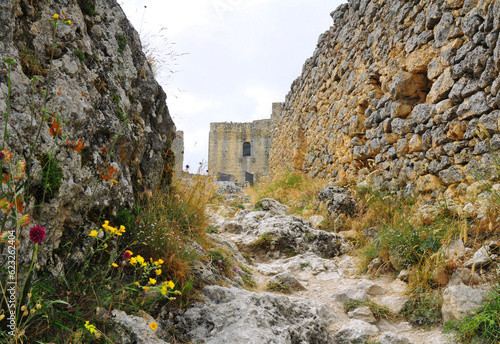 salendo tra rocce e fiori verso l'antica fortezza,  photo