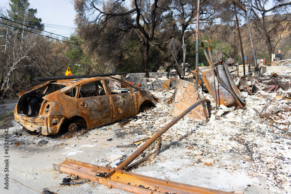 Fototapeta premium Los Angeles Wildfire Remains 2019
