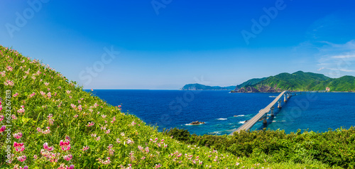 甑島_鳥の巣山展望所からみる甑大橋、透き通った海と島と空が美しい