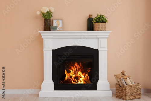 Stylish fireplace near potted plants and firewood indoors