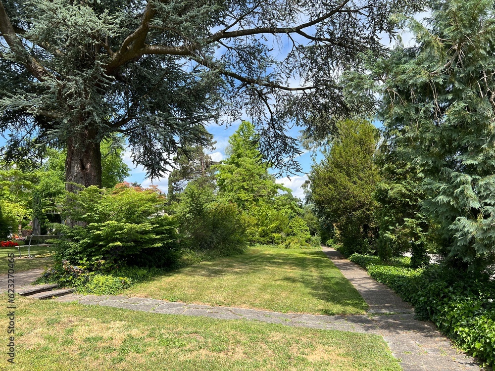 Fototapeta premium Nordheim Cemetery Park or Park of the Nordheim cemetery - Park des Nordheimer Friedhofs oder Friedhofspark Nordheim - Zürich (Zurich or Zuerich), Switzerland (Schweiz)