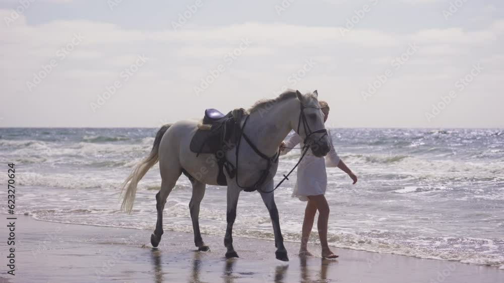 Girl Walking With Her Horse At The Seaside Girl Walking With Her Horse At The Seaside