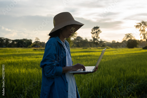 Young asian woman farmer using laptop computer in cultivated paddy field in sunrise, modern technology application in agricultural growing activity