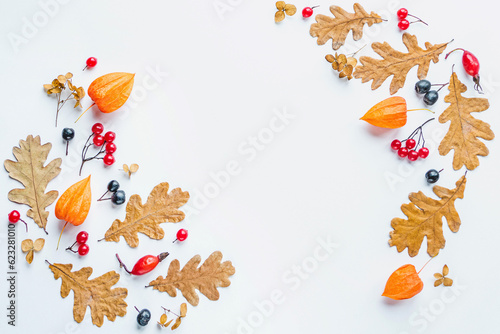 Autumn floral background dried leaves flowers berries arranged in frame on white background copy space