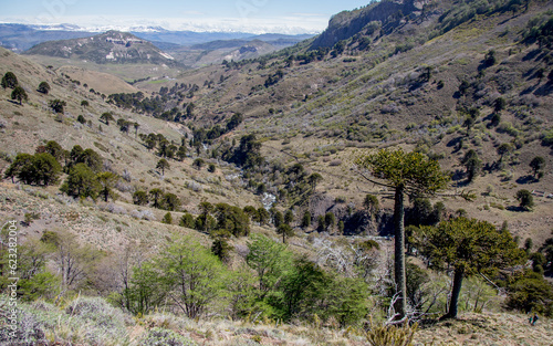 rio tralihue cordillera de los andes alto biobio lonquimay photo