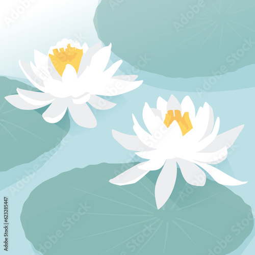 水に浮かぶ白い睡蓮のイラスト