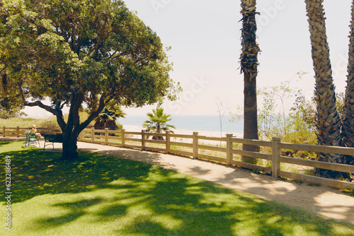 Natural landscape view with green plant. Touristic place. California, Los Angeles. Nature and park.