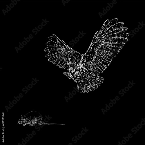 owl catches rat hand drawing vector isolated on black background.