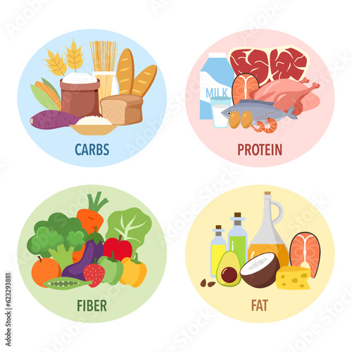 Food nutrition groups set carbohydrates, protein, fiber and fat concept vector illustration.