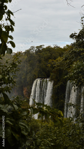 cataratas del iguazu, misiones argentina naturaleza