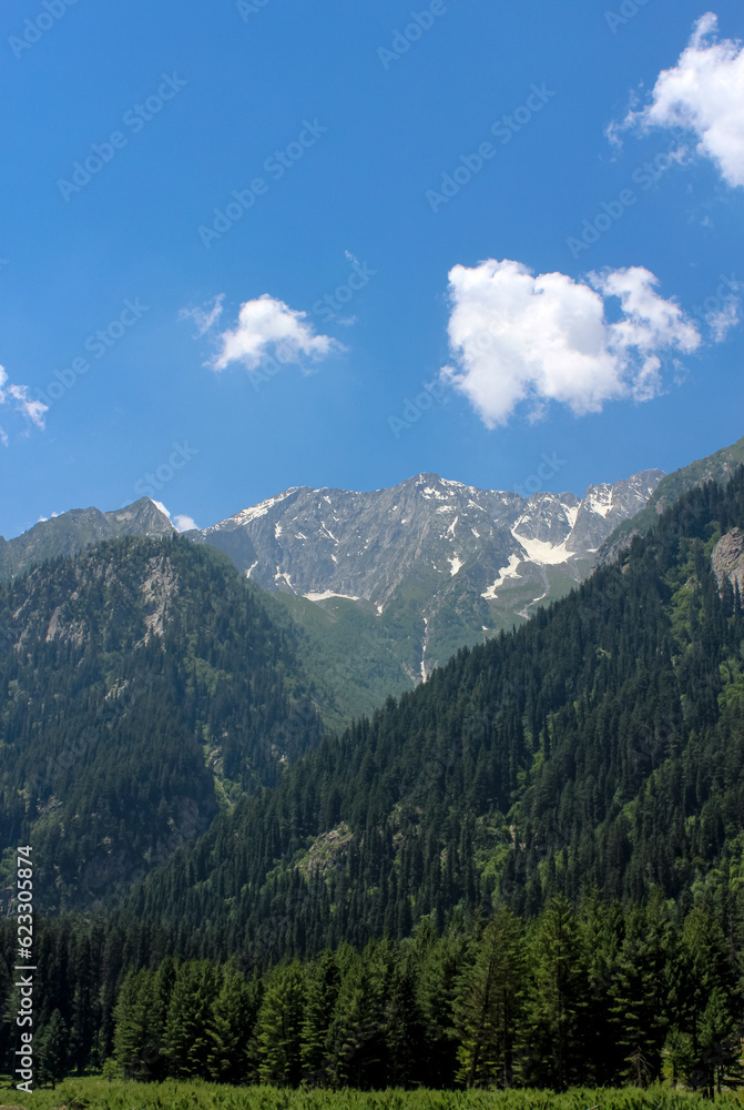 Fototapeta premium Kumrat Valley, The Panjkora River, Mountains, Runs Through Kumrat Valley. Kumrat valley Deodar cedar trees and snowy mountains