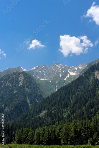 Kumrat Valley, The Panjkora River, Mountains, Runs Through Kumrat Valley. Kumrat valley Deodar cedar trees and snowy mountains