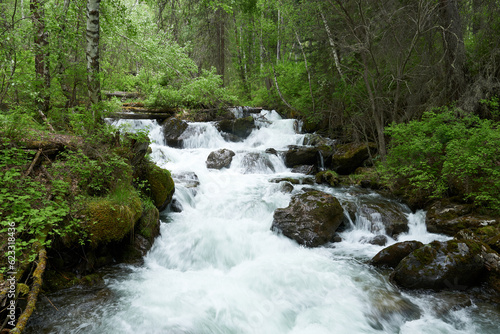 Mountain stream in the forest. The concept of active and extreme tourism