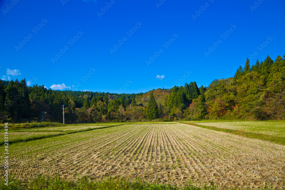 Fototapeta premium Lanscape of Yamagata countryside with mountains road and rice paddies, Yamagata, Tohoku, Japan.