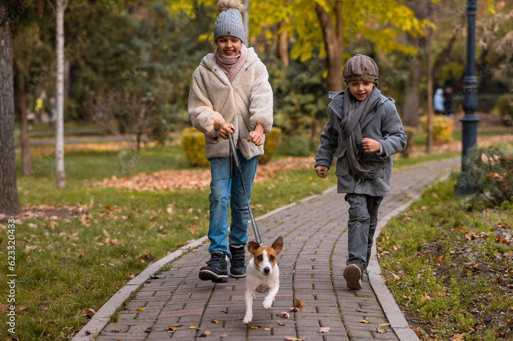 Fototapeta premium Brother and sister walk the dog in the park in autumn. Boy and girl running with jack russell terrier on a leash. 