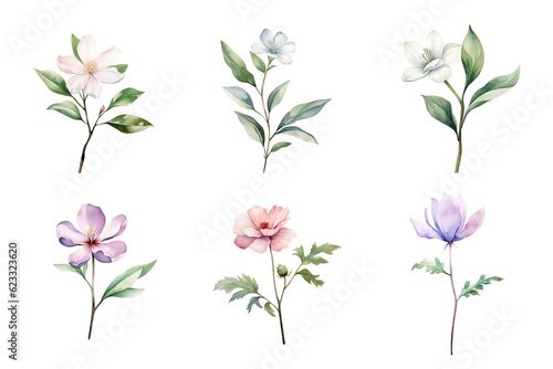 Beautiful watercolor floral hand-drawn collection  wild field flowers