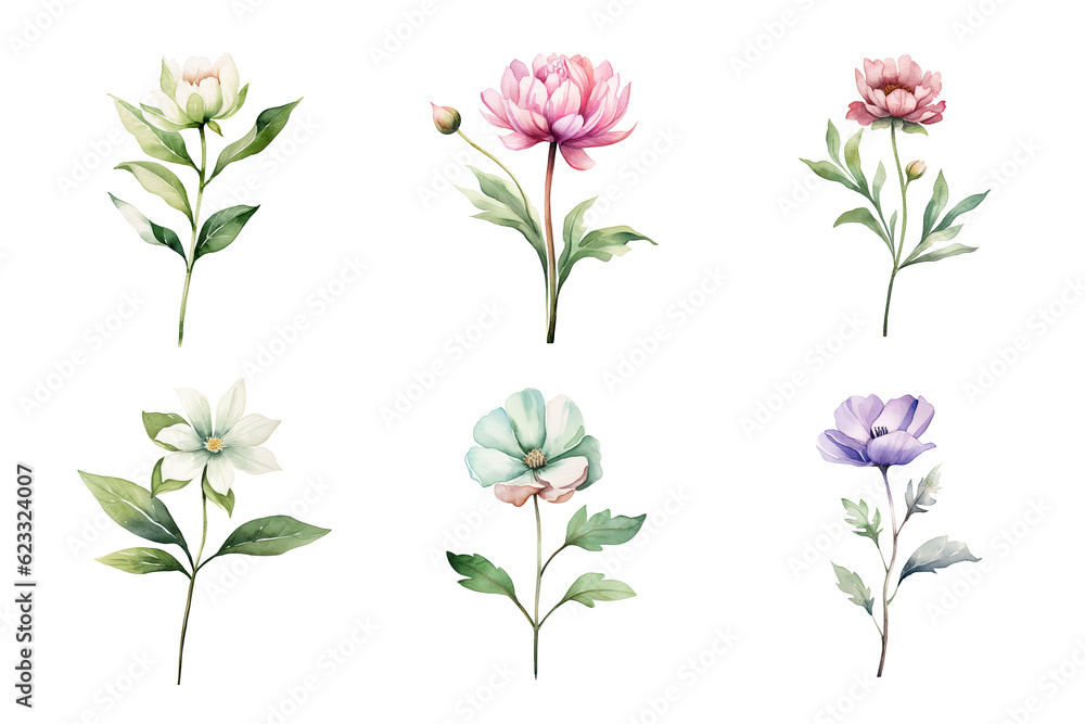 Beautiful watercolor floral hand-drawn collection, wild field flowers