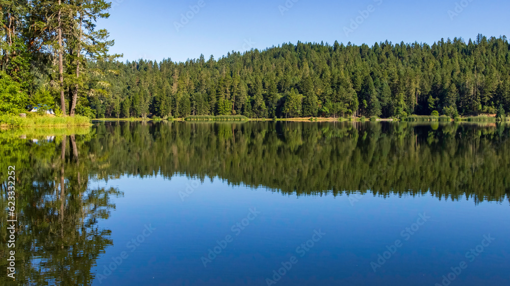 A calm morning on a lake in Oregon