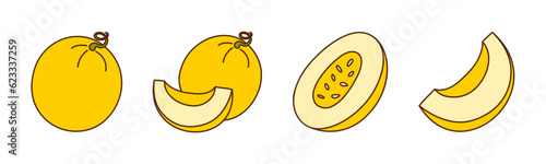 Set of hand-drawn melons on a transparent background. Isolated vector illustration of muskmelons