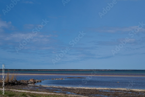 Beautiful landscape. Empty Kardla beach  Estonian - K  rdla rand  on a sunny spring day. Selective focus  blurred background.