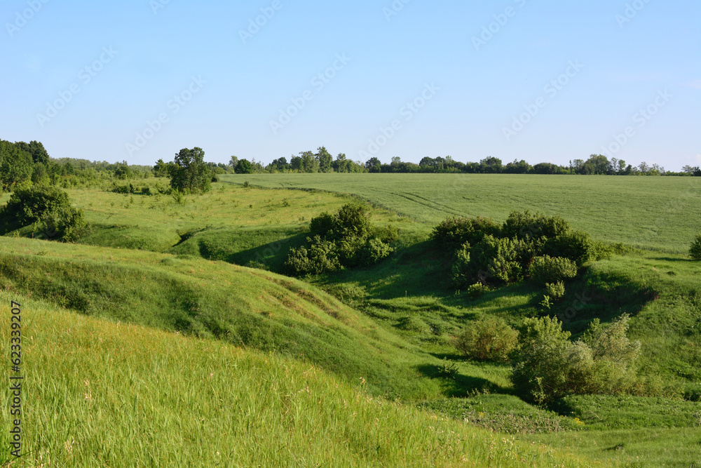 green valley with hills and green trees and grass and clear sky on horizon