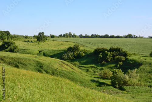 green valley with hills and green trees and grass and clear sky on horizon