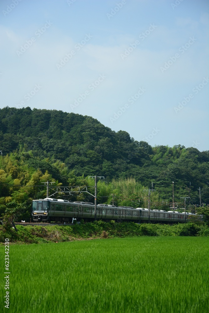 Obraz premium 夏の田園地帯を走る223系普通列車 （東海道本線 安土 - 能登川, 2023年7月）