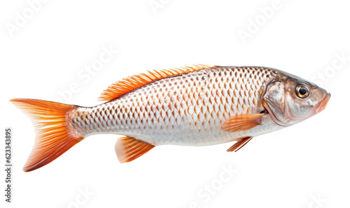 goldfish isolated on white HD 8K wallpaper Stock Photographic Image