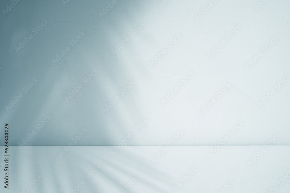 Room background with palm leaf shadow Room background with palm leaf shadow