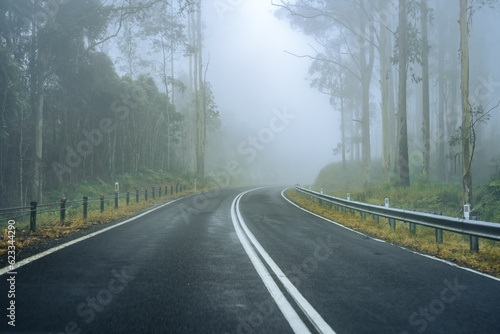 Foggy road through the Gibraltar Range, NSW, Australia