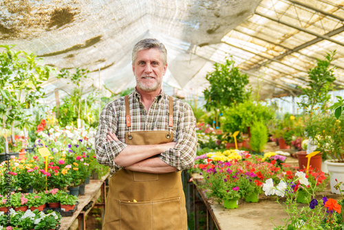 Εκτύπωση καμβά A smiling senior Caucasian worker in a botanical nursery garden, arms crossed, surrounded by a vibrant display of ornamental plants and flowers, creating a colorful corporate portrait