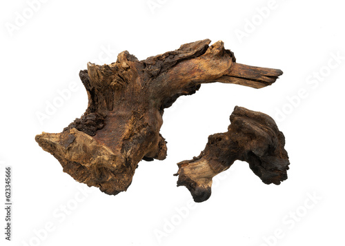 Artistic dead wood isolated element
