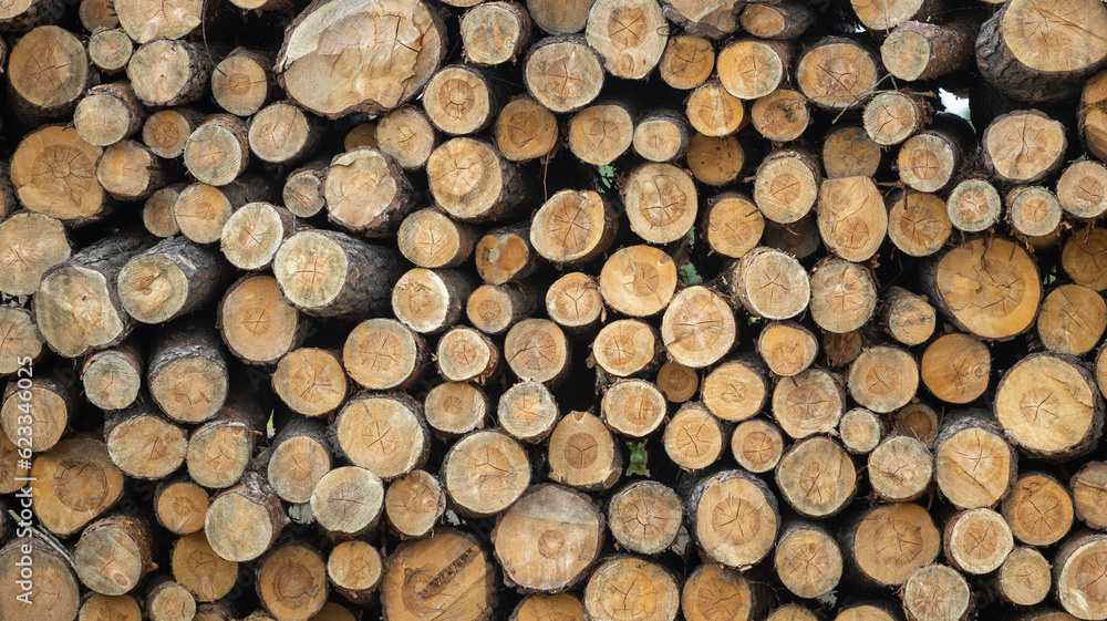 Pile of chopped firewood ready for winter with blue sky background Pile of chopped firewood ready for winter with blue sky background