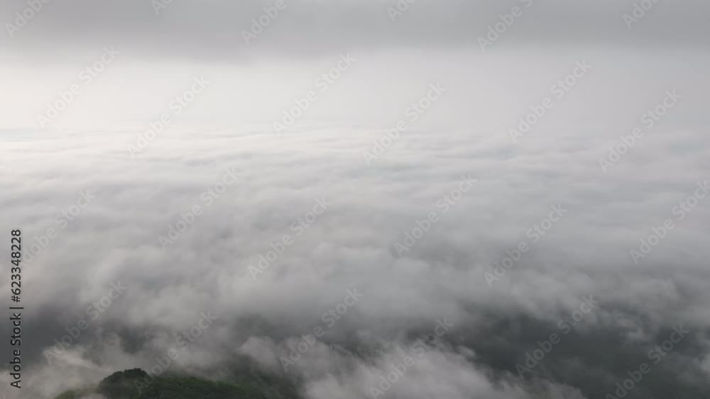 오도산 오도산