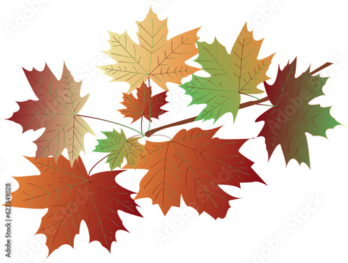 Vector autumn maple leaves  foliage  burgundy and light orange  brown and green colors. Branch of maple leaves of different autumn colors. Vector illustration. Autumn theme.