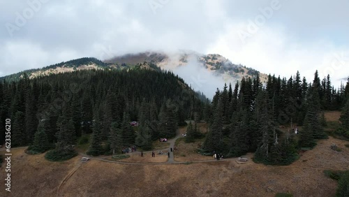 Gathering near scenic trails in Olympic National Park, Washington. Explore majestic landscapes and embrace outdoor adventure. photo