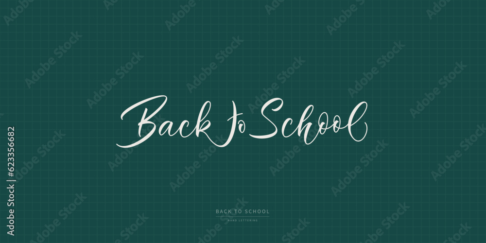 Back to School hand lettering design. Vector handwritten calligraphic text.