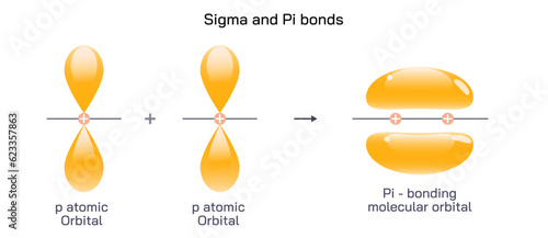 Covalent bonds happen when atoms share electrons. Sigma bonds are the first type of covalent bond, formed by overlap of atomic orbitals head to head. Sigma and pi bonds vector illustration. molecule