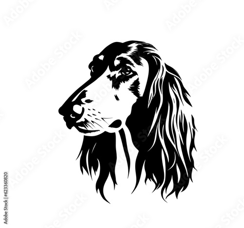 Vector isolated one single sitting Afghan Hound dog head front view black and white bw two colors silhouette. Template for laser engraving or stencil, print for t shirt