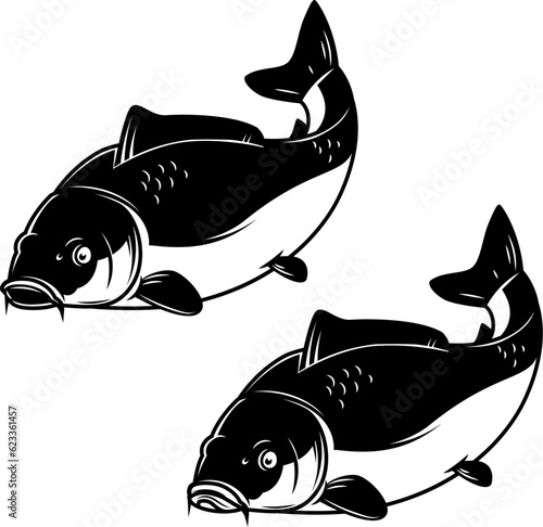 Illustration of carp fish in monochrome style. Carp fish  isolated on white background