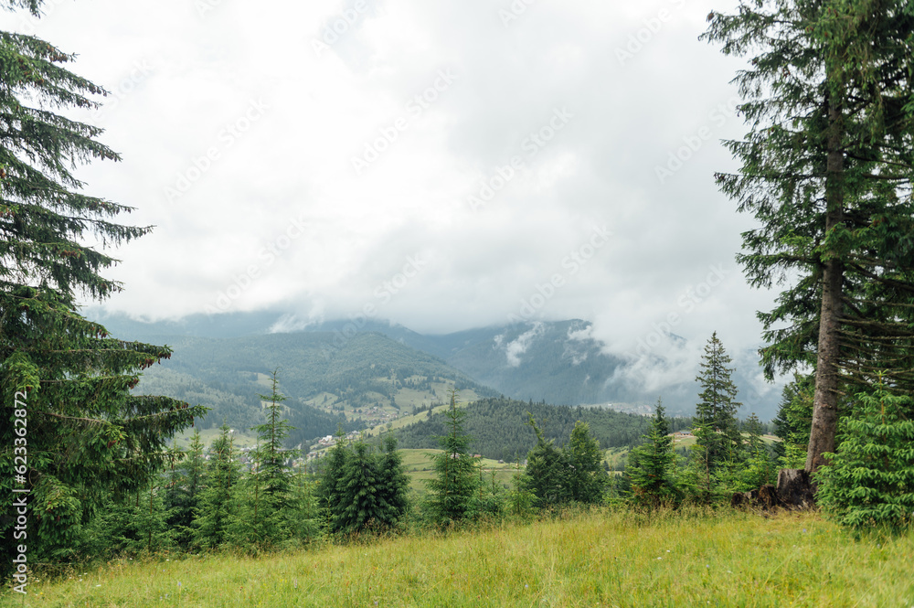 Fototapeta premium Green Ukrainian mountains. Summer time. Beautiful views of the largest peaks.