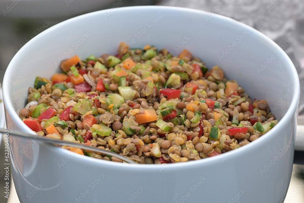 Healthy vegetable salad of lentils with carrot, bell pepper, celery, spices and herbs in a white bowl, selected focus Healthy vegetable salad of lentils with carrot, bell pepper, celery, spices and herbs in a white bowl, selected focus