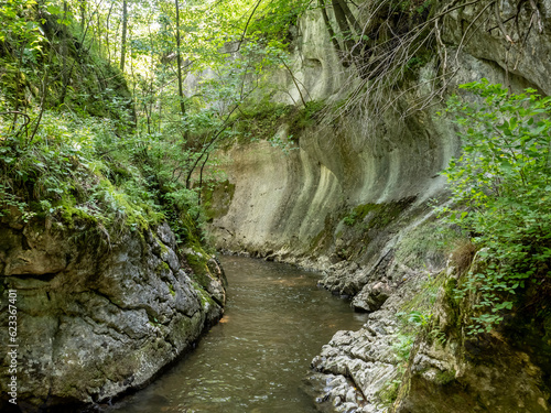 Banita gorge ( Cheile Banitei ), near Petrosani city, Hunedoara county, Romania photo