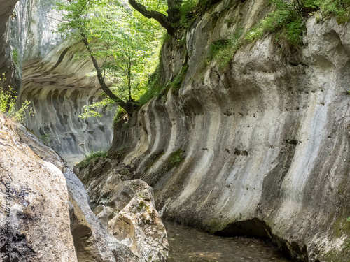 Banita gorge ( Cheile Banitei ), near Petrosani city, Hunedoara county, Romania photo